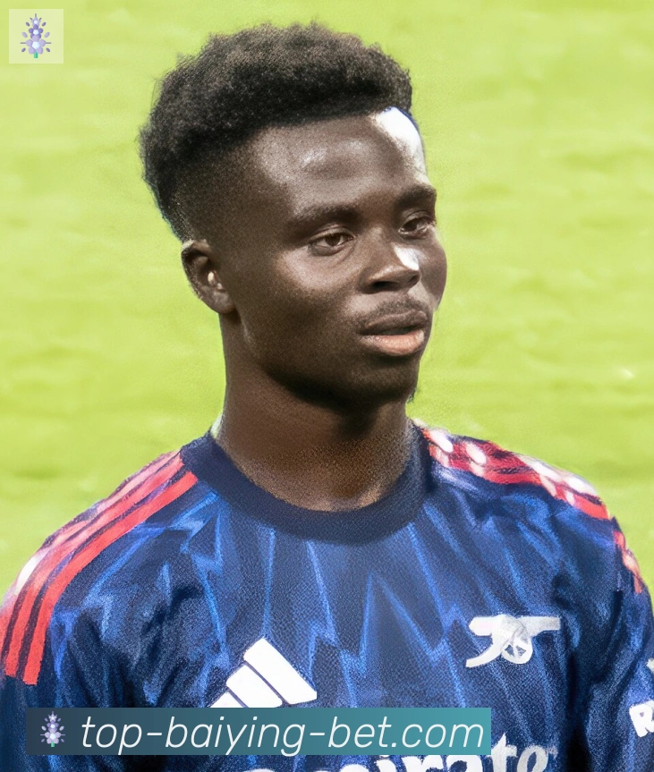 维尼修斯